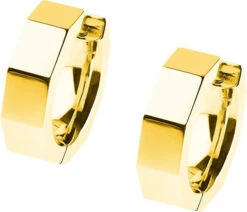 Ernstes Design Creolen Evia Ohrringe E604 Edelstahl Gelb Vergoldet 5 Ernstes Design Creolen Evia Ohrringe E604 Edelstahl Gelb Vergoldet -Modeschmuck Geschäft 143b260373671a84761cd4320ab83b4152d6f062 4060267220203 1