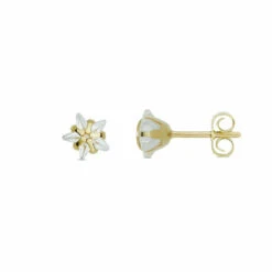 Damen Zirkonia Ohrstecker Ø5mm Gold 802.1030