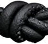 Endless Jewelry Unisex Halskette Lederband Schwarz 13101 -Modeschmuck Geschäft 5dda94378e302d79a6b98b35bc9db3923693f390 51GA2bxMpeL. AC UX500