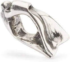 Trollbeads Damen-Bead Schwimmflossen 925 Silber TAGBE-10165