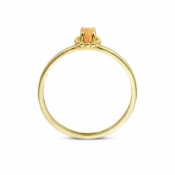 Blush Damen Ring Mit Orangefarbenem Katzenauge Größe 56 Glold1225YCO/56 -Modeschmuck Geschäft 8fc2980455fc1fa3a8f32fd9e9c710f3e258e748 8720088136928 2
