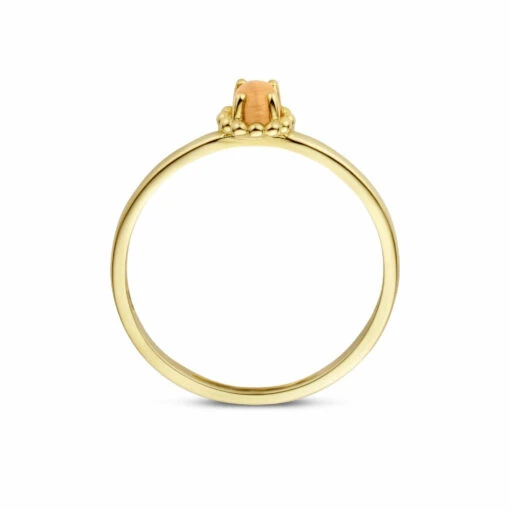 Blush Damen Ring Mit Orangefarbenem Katzenauge Größe 56 Glold1225YCO/56 -Modeschmuck Geschäft 8fc2980455fc1fa3a8f32fd9e9c710f3e258e748 8720088136928 2
