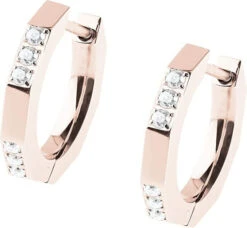 Ernstes Design Creolen Evia Ohrringe E602 Edelstahl Zirkonia Rose Vergoldet -Modeschmuck Geschäft d6dc9beb7d386ed78a950c9c6a42794a1f3b11e6 4060267220180 1