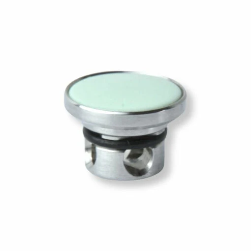 Charlotte Color Button Light Green -Modeschmuck Geschäft df49d6e2618961e2e62363c554f87e0e56825a41 4052101342417