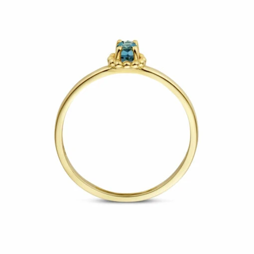 Blush Damen Ring Mit Blue-Topas Größe 56 Gold 1227YLB/56 -Modeschmuck Geschäft fce3305ba8c9cf433123a671fcdd9991aaf5498e 8720088136775 2