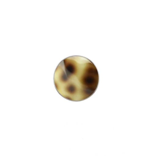 Color Button Kopf Tigermuschel 14mm / Halshöhe 1mm -Modeschmuck Geschäft ff64873602e8a36c63f8b89e19c6438bc136746f 4052101472558